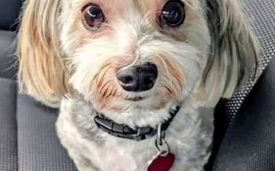 Jack