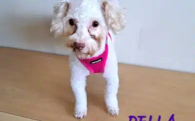 Della