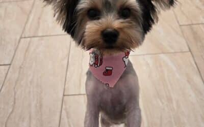 Little Ruby