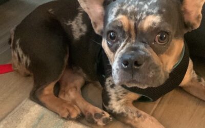 Fiona