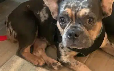 Fiona