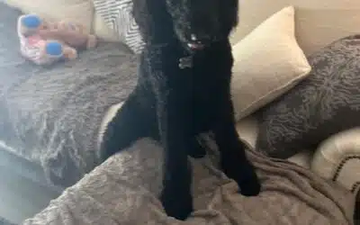 Lucy Lou