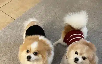 Cooper & Charlie