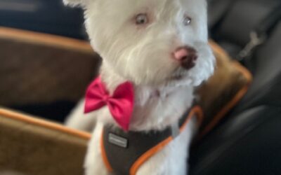 Rosie