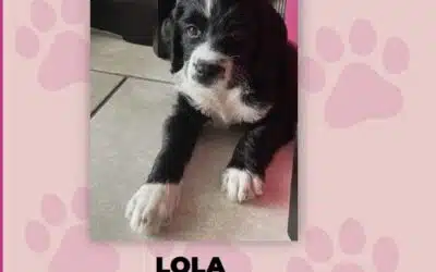 Lola